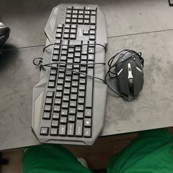 Keyboard & Mouse