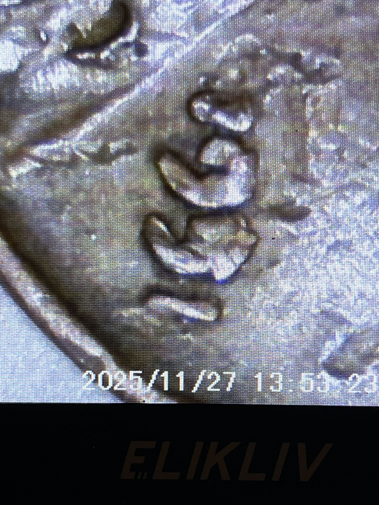 1951 Lincoln Wheat Cent Penny Coin