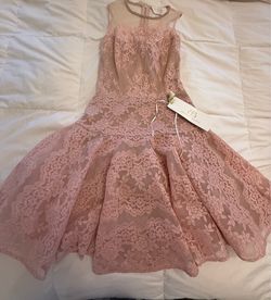 BRONZ & BANCO Blush Pink Lace Fit-and-Flare Dress US 4