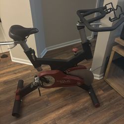 Sole SB700 Spin Bike 