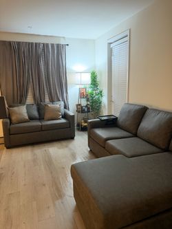 Living Spaces couches