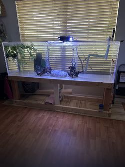 New acrylic aquarium with filter