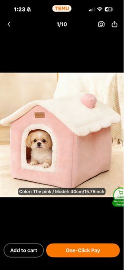 Doggy domain small