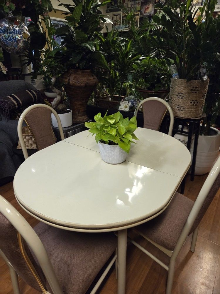 Beautiful Dining Set 48x36