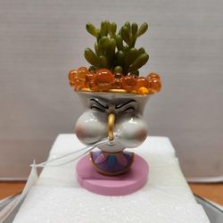 2021 Disney Parks Beauty And The Beast Chip Succulent Faux New in Box