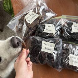 All Natural Dog Treats 1 ingredient (homemade)