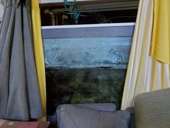fish tank setup