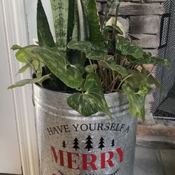 Christmas Tin
