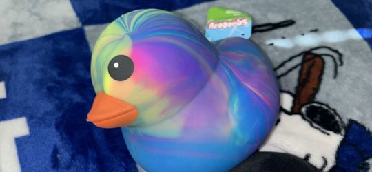 Duck