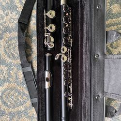 Flute And Piccolo