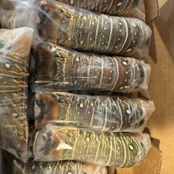 Rock Lobster Tails Or Warm Lobster Tails 