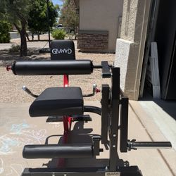 Leg Extension and Seated Leg Curl Machine LE01