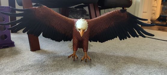 Eagles statue, wall hanging