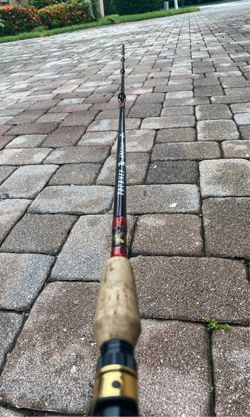 Tourney special bass fishing rod