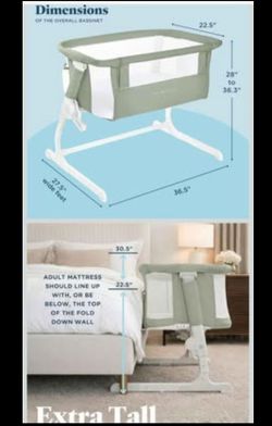 Baby delight bedside bassinet
