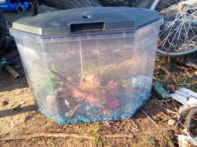 Bata Fish Tank