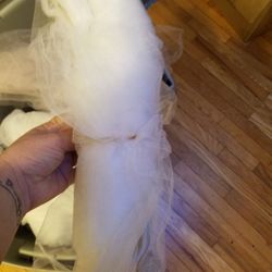 White Tulle 