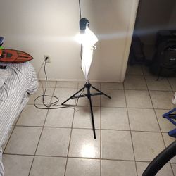 Photography Lights X2 $50