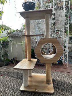 Pet Pals Wagon Cat Teee