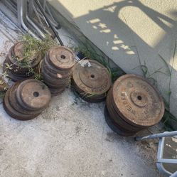 Weight / Pesas Bakersfield 