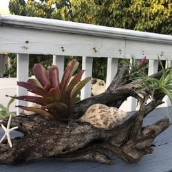 Drift Wood Arrangement