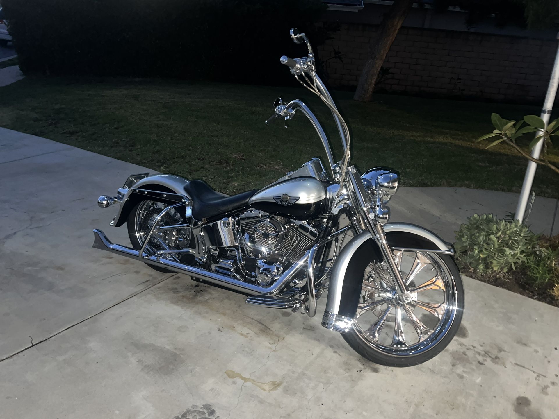 2003 Harley Davidson heritage Soft tail