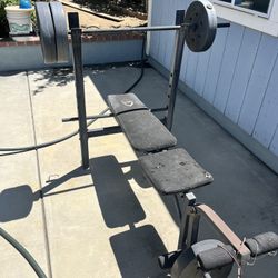 Free Weight Bench