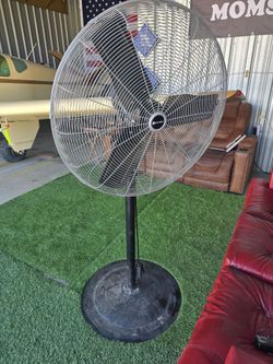 Big A$$ fan