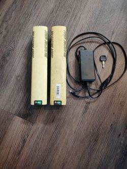 2 hyper 36 volt e bike batteries with working charger and key