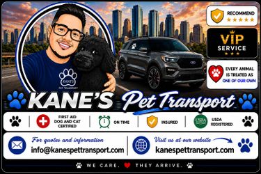 Pet transport