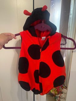 Carters Lady bug costume 18M