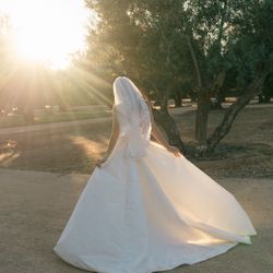 Wedding Veil 