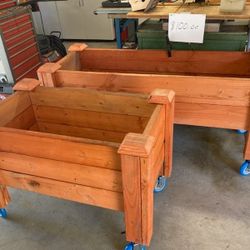 PLANTERS