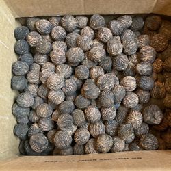 Walnuts, Dried And Ready To Crack