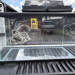 Glass Aquarium/Tank 