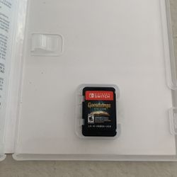 Nintendo Switch Game 