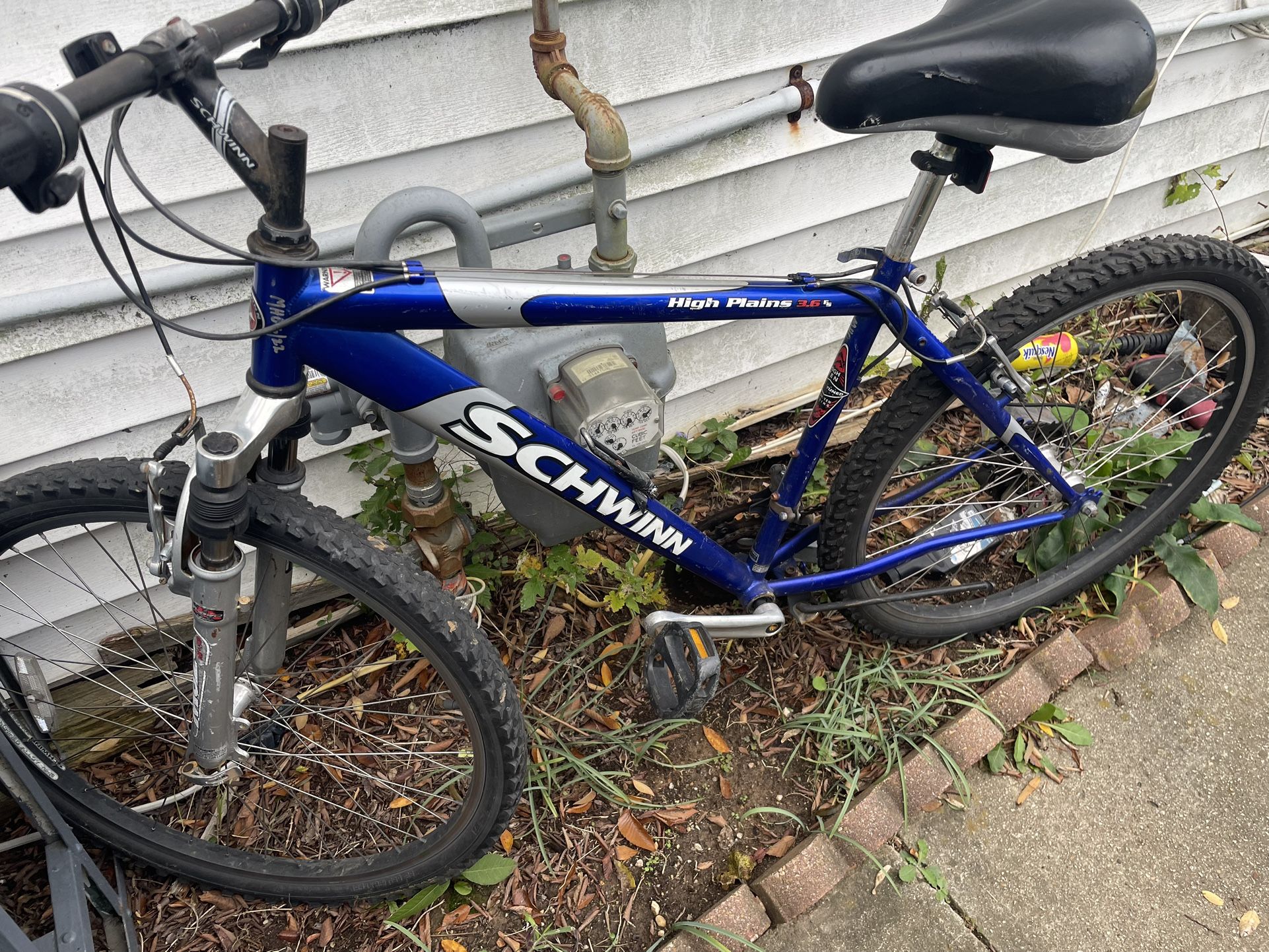 Schwinn Blue And Silver 