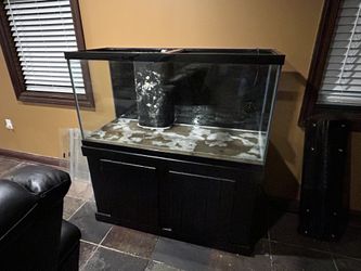 Fish Tank