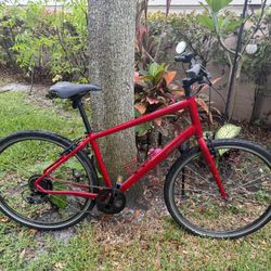 Specialize CrossRoad L Frame 700 Wheel 