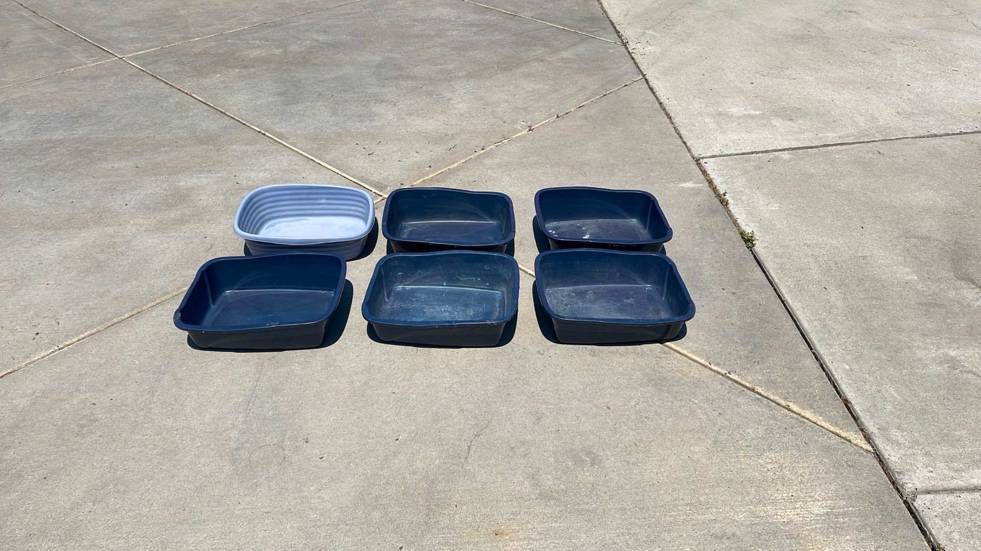 Litter boxes FREE!