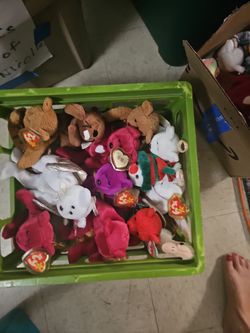 Beanie babys