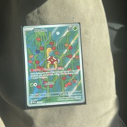 Pokémon Shuckle