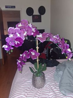 Flower pot $20