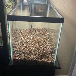 10gallon Fish Tank 