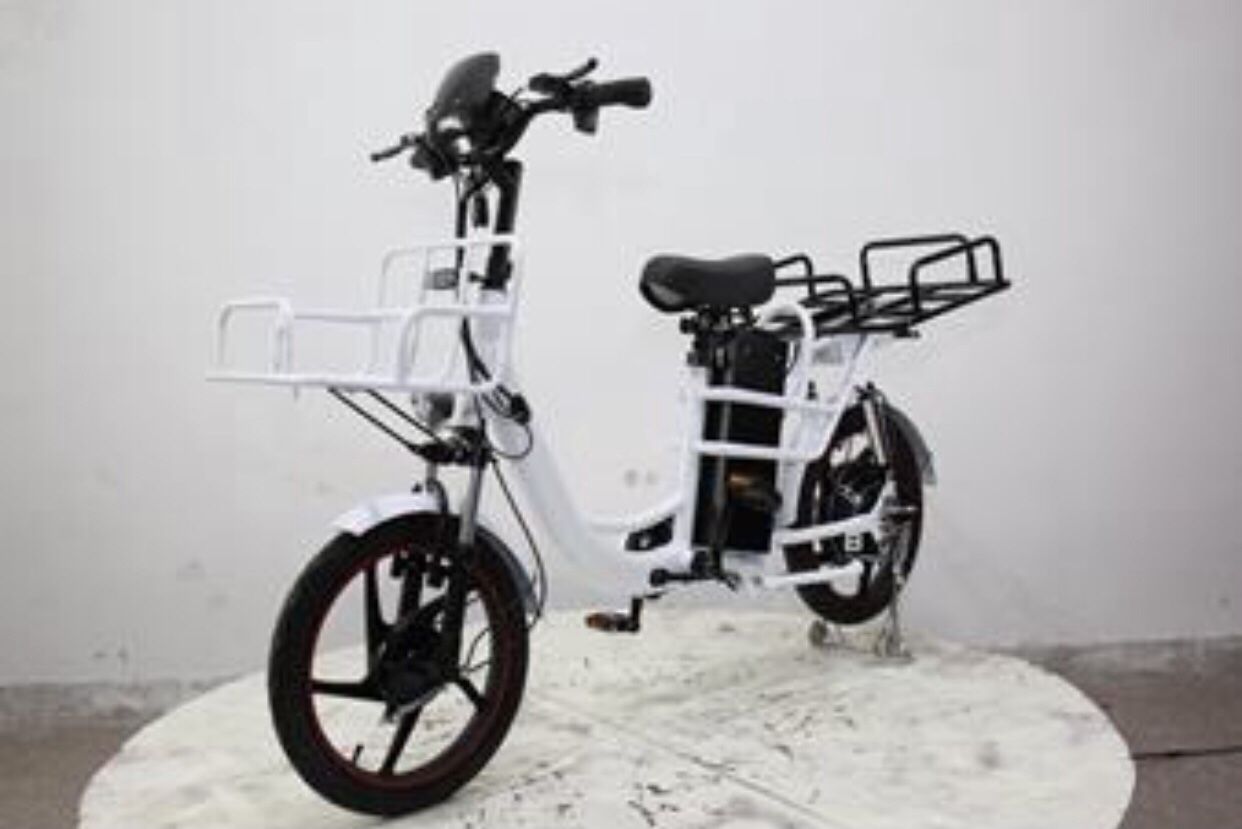 1500 Watt Take Away Bicycle With Lithium Battery