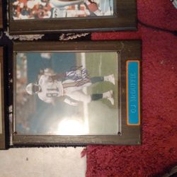 All 5 Football/Baseball Plaques 