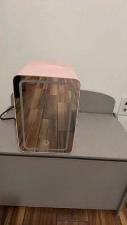 Mini make up fridge