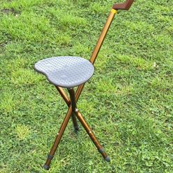 Cane With Seat 