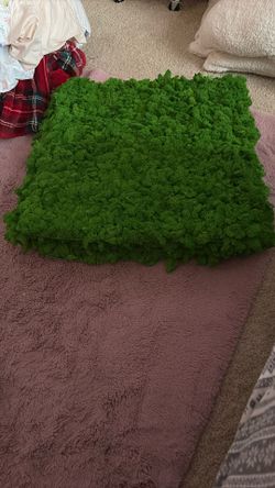 4 Sheets Of Preserved Moss