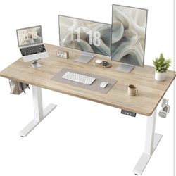 Electric Standing Desk
